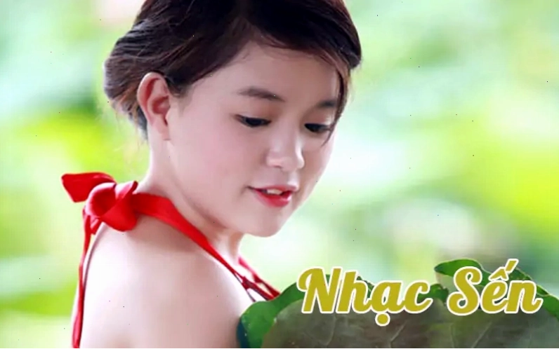 1. Khái niệm nhạc sến - Nhạc sến là gì?
