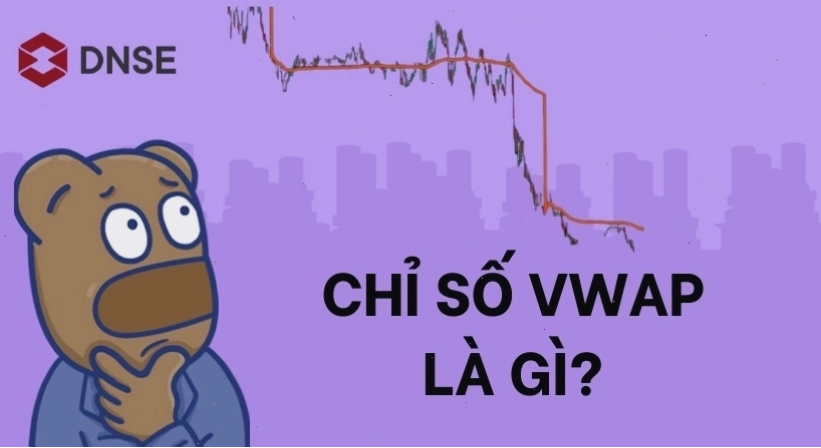 Biểu đồ tăng trưởng traffic website viwap.net
