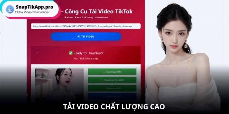 Bước 3: Tải video TikTok về máy tính không logo