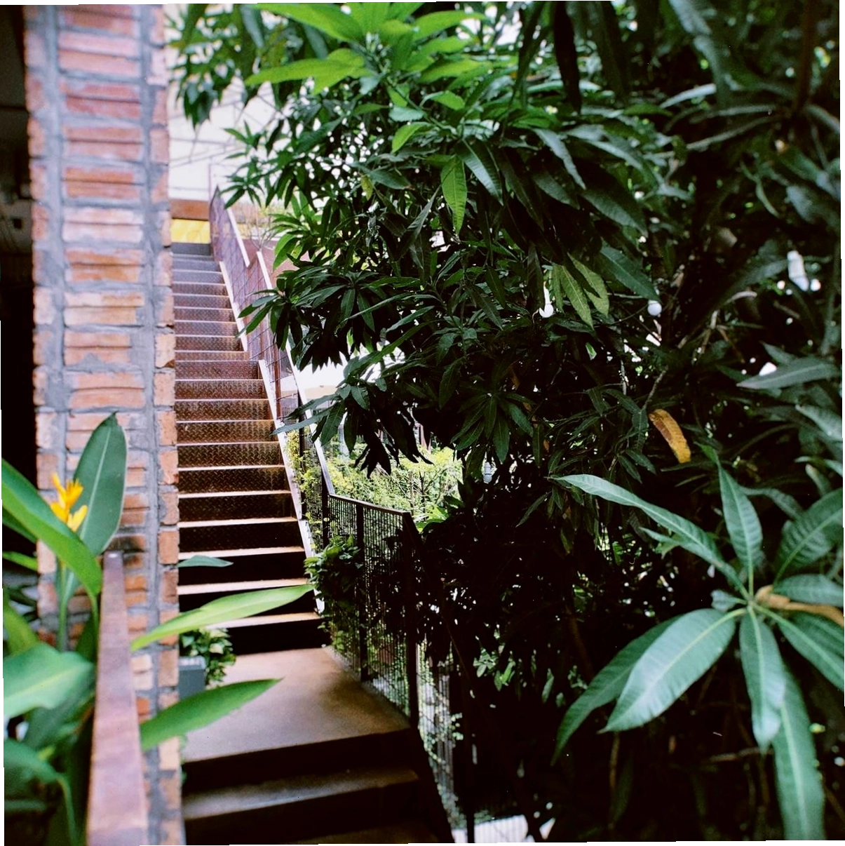 Cảnh quan tổng thể khu vực COMPLEX 01