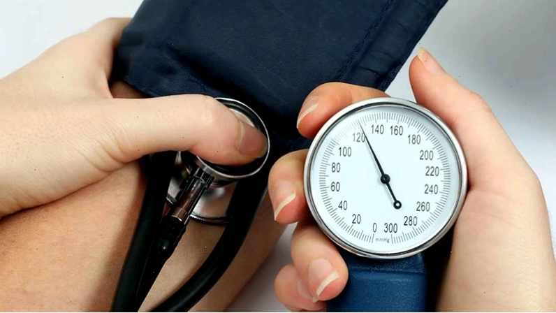 Cỏ ba lá giúp giảm huyết áp, bảo vệ hệ tim mạch