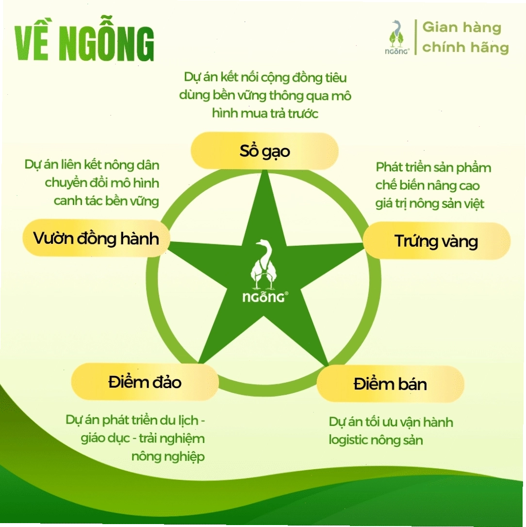 Hình ảnh đường dừa nước Vietnipa