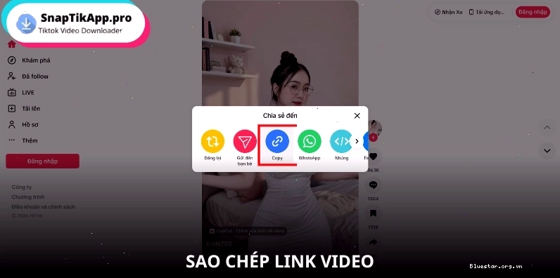 Hướng dẫn tải video TikTok bằng Snaptik trên máy tính