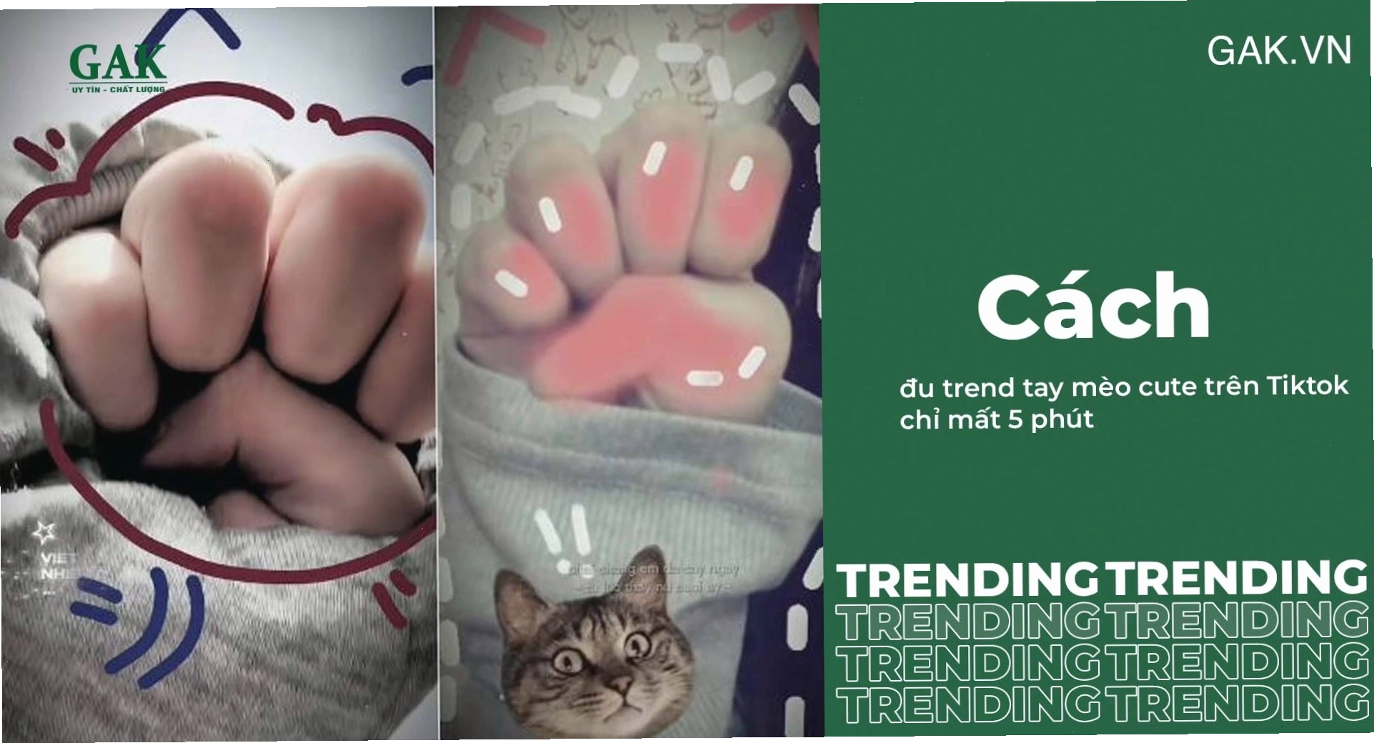 Hướng dẫn tạo nội dung trending trên TikTok