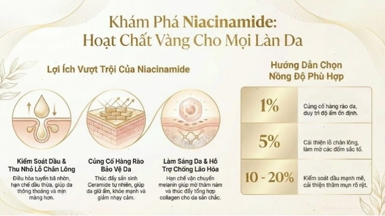 Infographic Niacinamide hoạt chất vàng cho làn da