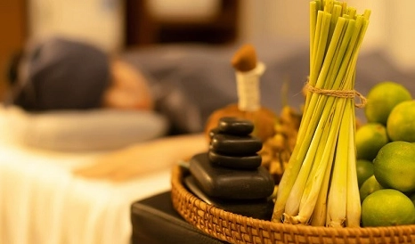 Khám phá Dịch vụ Massage Đà Nẵng: Top Địa Điểm Thư Giãn Đỉnh Cao 2026