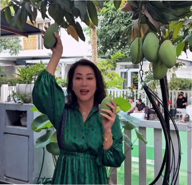 MC Nguyễn Cao Kỳ Duyên tham gia hoạt động đời thường