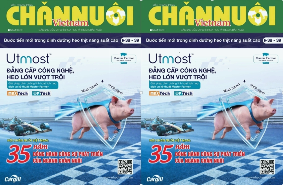 Minh họa các dụng cụ bẫy chuột hiệu quả