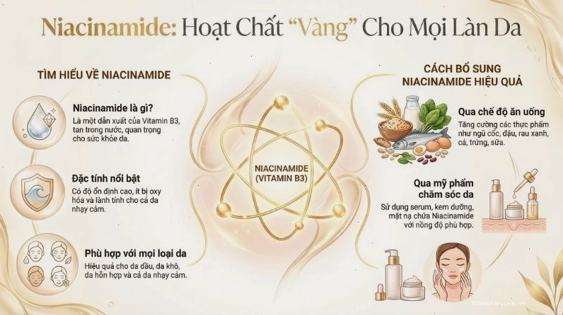 Niacinamide là dẫn xuất của Vitamin B3