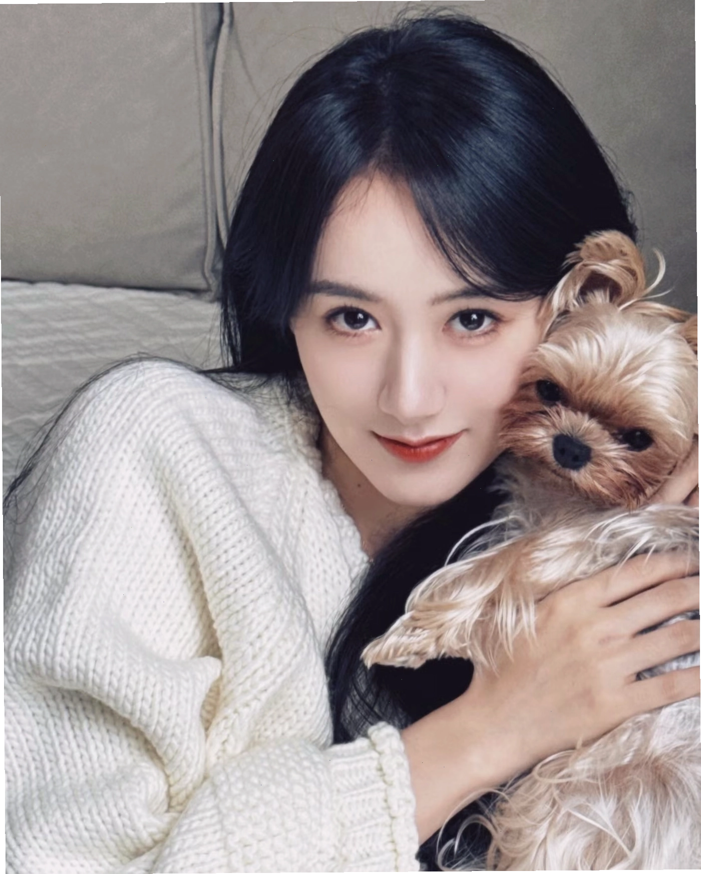 Sự trở lại của Viên Băng Nghiên tại Việt Nam làm dấy lên tranh cãi