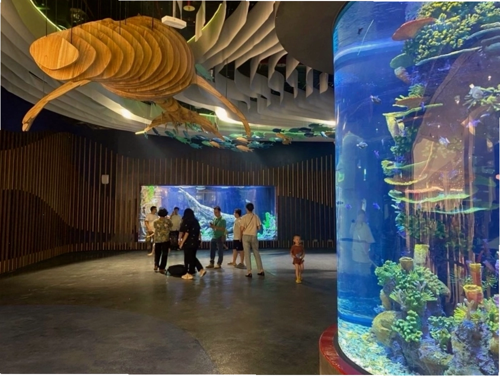 Thủy cung - Một địa điểm gần Lotte Cinema Tây Hồ, có thể khám phá thiên nhiên