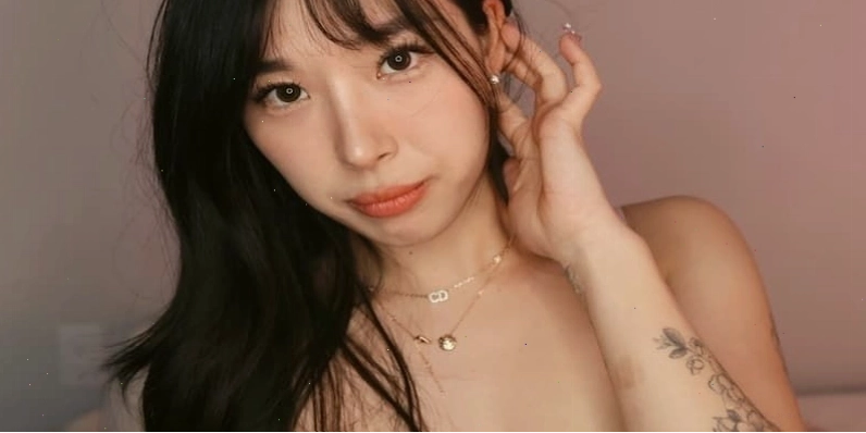 Tiểu sử và cuộc đời của Elle Lee beauty influencer gốc Hàn