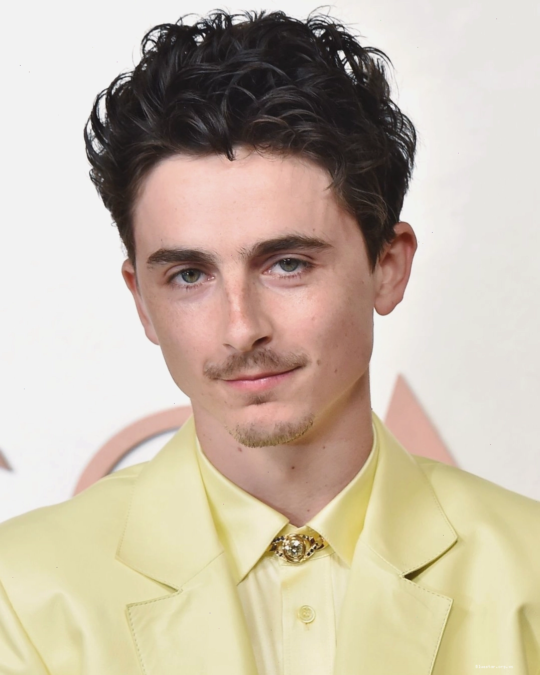 Timothée Chalamet tại lễ trao giải Oscar.