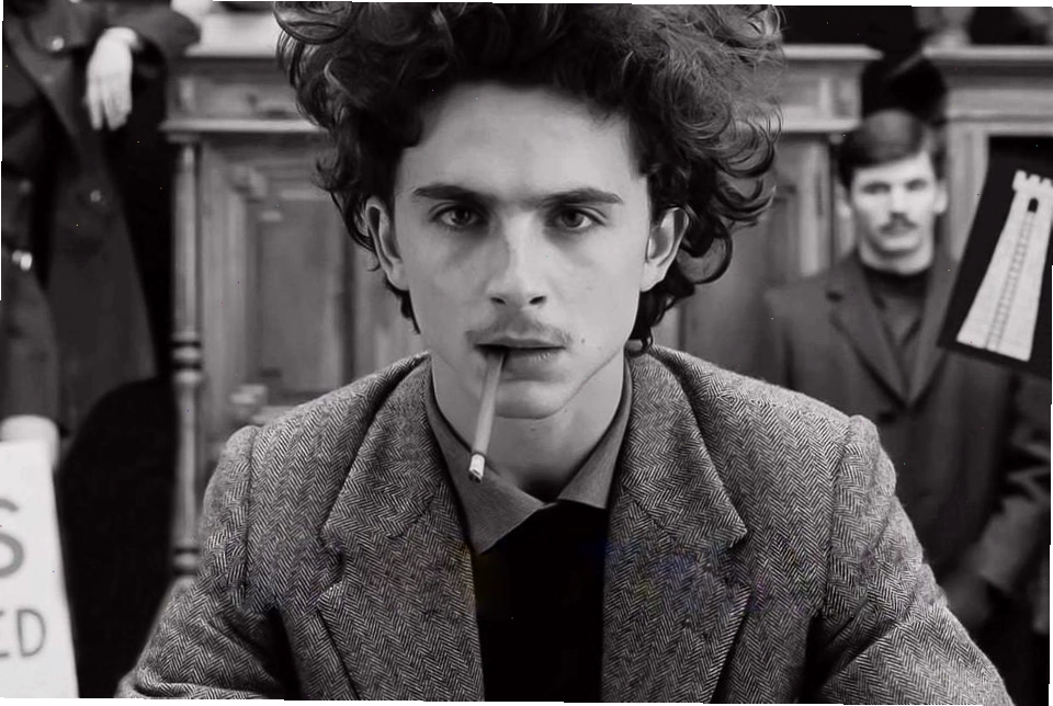 Timothée Chalamet với phong thái cuốn hút