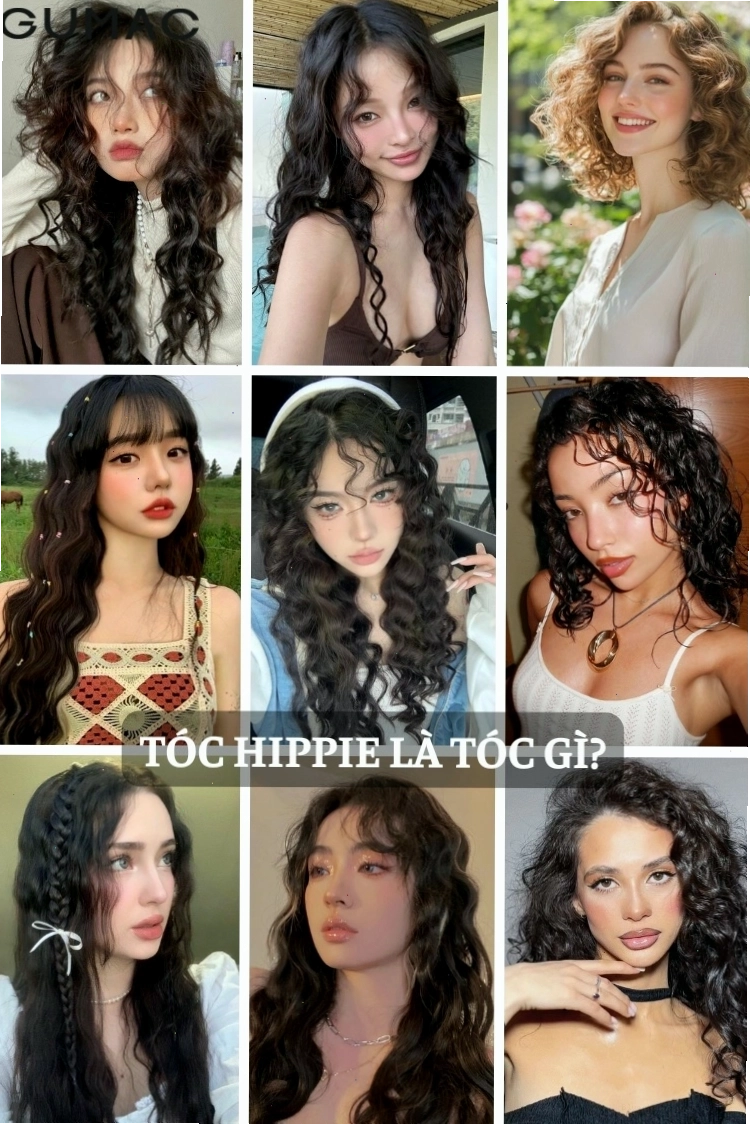 toc hippie la toc gi