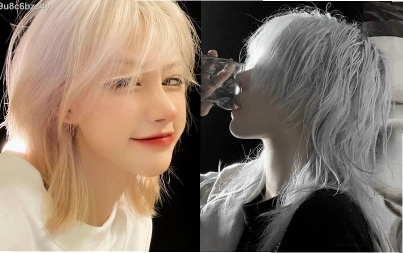 Tóc mullet layer wolf cut phù hợp với nhiều dáng mặt